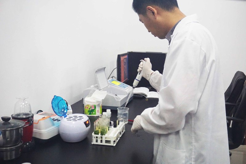 影视制作：一部电影背后的打磨与创新之旅